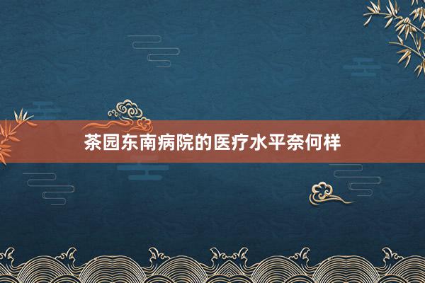 茶园东南病院的医疗水平奈何样